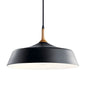 43683BK - Kichler Lighting Danika Black Plate Pendant
