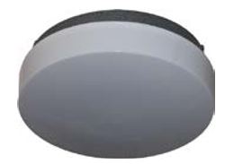 Divine Lighting LP-1011-D13-27K Exterior Flush Mount