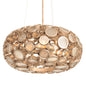 Varaluz 165C04ZG Fascination 4 Light 24 inch Pendant, Zen Gold