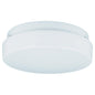 7925BLE-15 - White 1 Lt. Haylee Flush Mount - Sea Gull Lighting - IN STOCK LIGHTING - Flush Mount