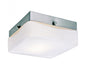 8870 - Brushed Nickel 1 Lt. 378 Flush Mount - Trans Globe Lighting - IN STOCK LIGHTING - Flush Mount