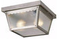 Trans Globe 4902 RST 2 Light Exterior Flush Mount, Rust