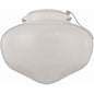 WHT-SCHOOL - White 1Lt School Light Kit for Ceiling fan
